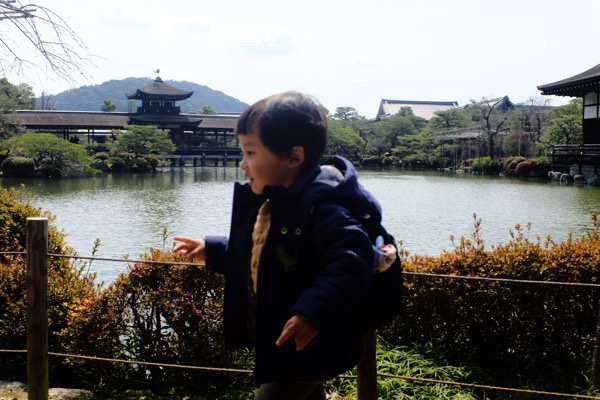 京都平安神宮と京都動物園を散策してみた