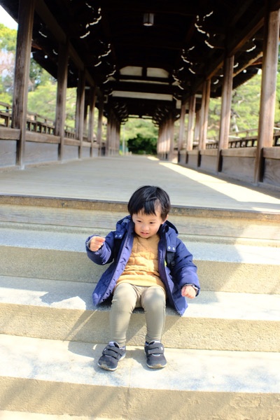 京都平安神宮と京都動物園を散策してみた