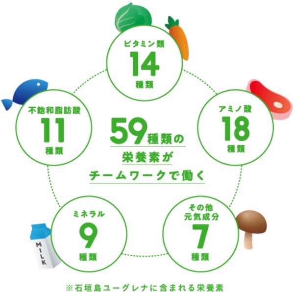 【大阪】オッジィオットグリーンスタンダードに入っているユーグレナと青汁の効果とは？