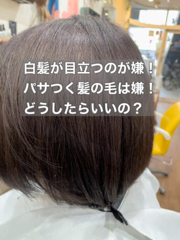 【大阪　今里】白髪が目立つ人、乾燥で髪の毛のパサツキが気になる人にはスモーキーカラーとジュエリーシステムトリートメントがオススメ