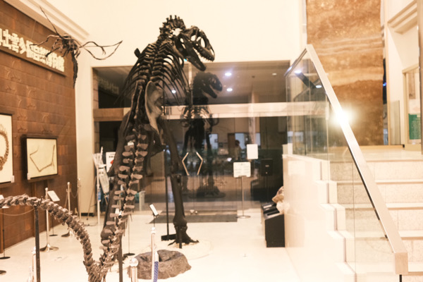 恐竜のナイトミュージアムを観るために奥出雲多根自然博物館に来てみた