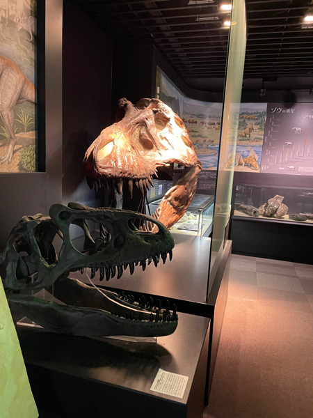 恐竜のナイトミュージアムを観るために奥出雲多根自然博物館に来てみた
