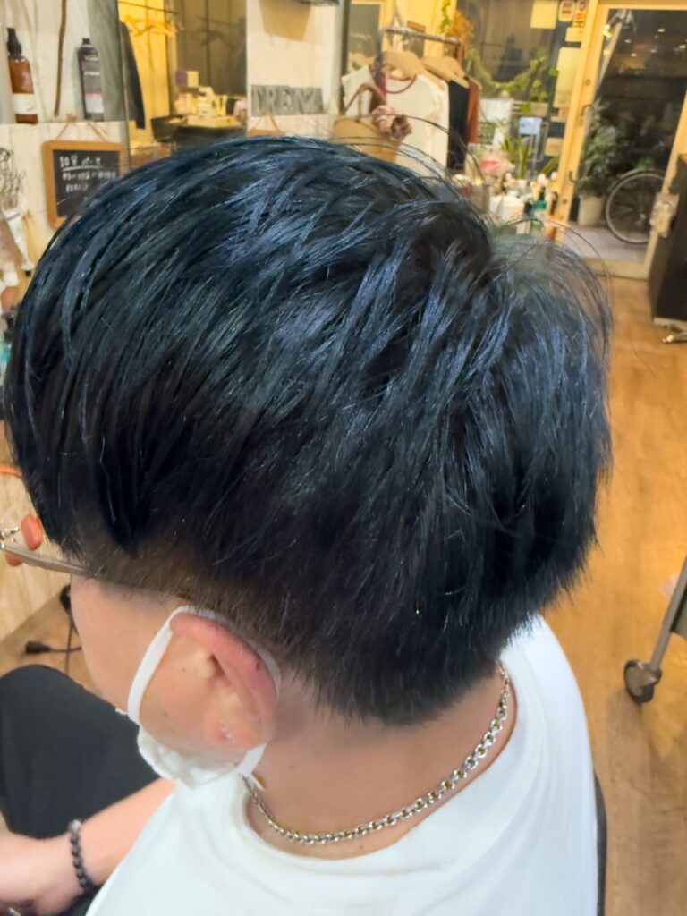 ブリーチ無しでWカラーで濃いめのブルーを入れて頭皮と髪の毛のケアをしたあと