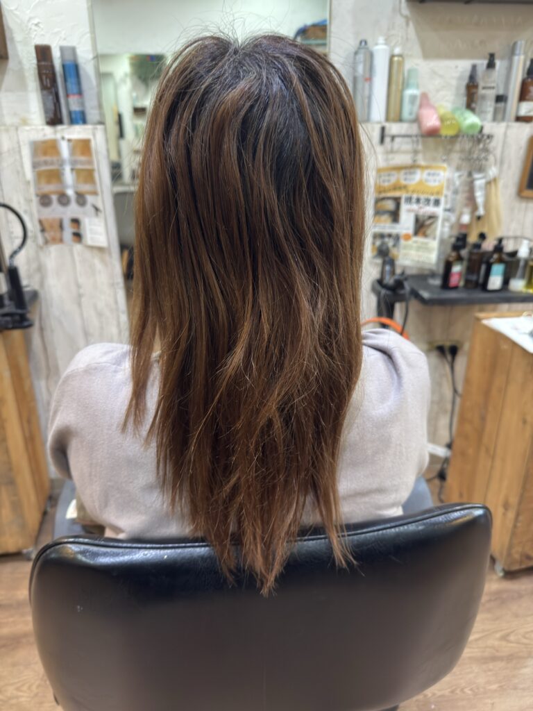 カラーする前の髪の毛の状況。以前はハイライトを入れていた経験あり